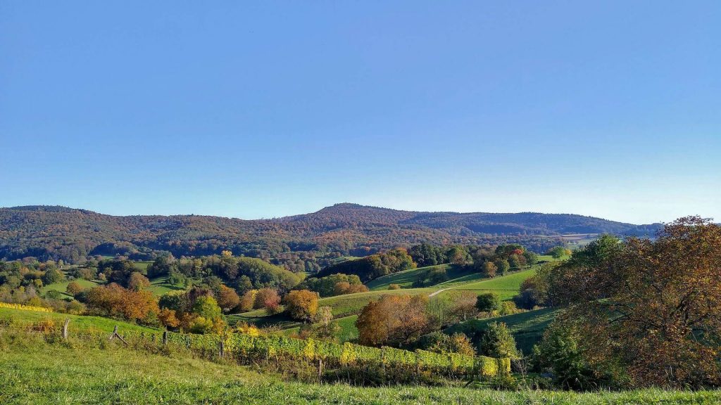 Blick in den Odenwald